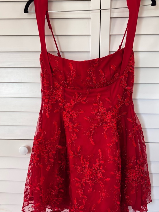 Lucy in the Sky Dresses & Skirts - Lucy in the Sky Red Floral Embroidered Sleeveless Dress
